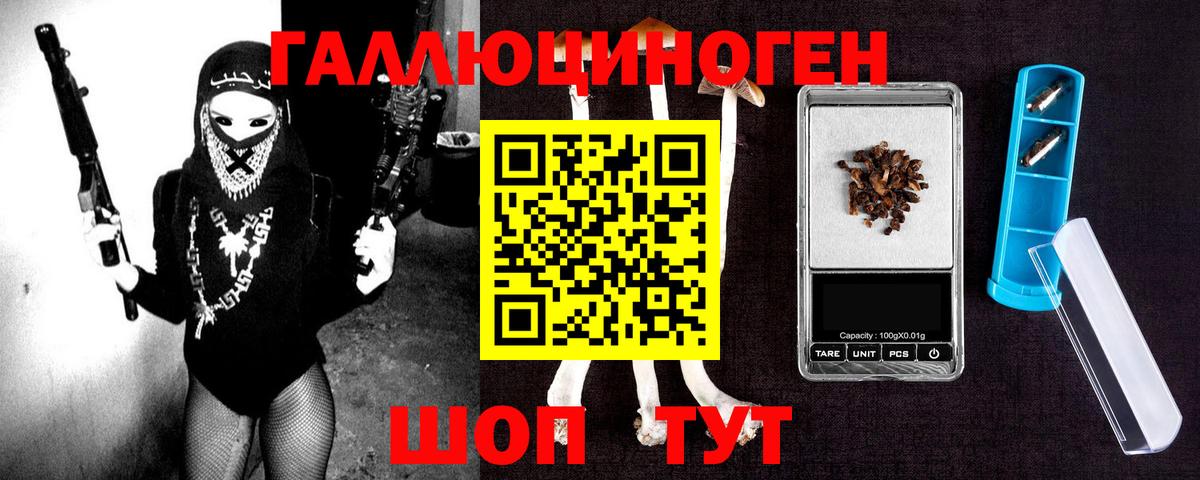 Псилоцибиновые грибы Psilocybe Биробиджан