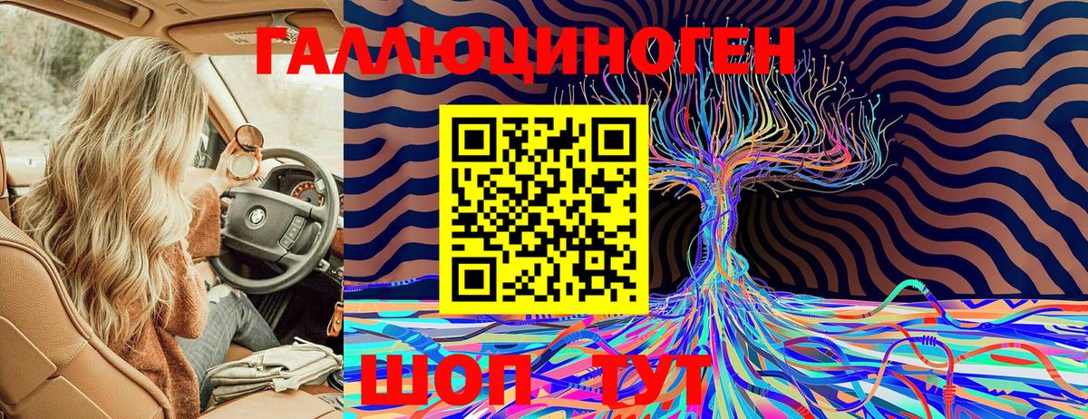 купить   Галлюциногенные грибы Psilocybe  Вход с VPN  Биробиджан  Псилоцибиновые грибы Psilocybe 